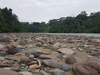 Napo rivier