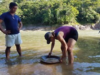 Goud zoeken, én gevonden in de rivier