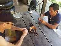 Cacao pellen