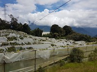 Kassen