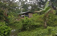Huisje in Yaupi