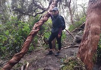 Cajas nationaal park