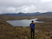 Cajas