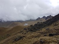 Cajas
