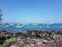 Haven van Puerto Baquerizo Moreno