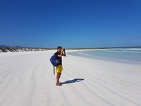 Strand van Tortuga Bay