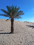 dunes dérg chebbi