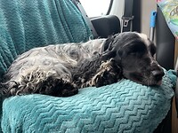 30 juni 2020 charlie