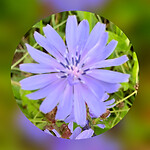 25 aug 2020
