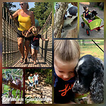 Centerparcs 2