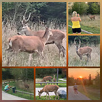 Centerparcs 3