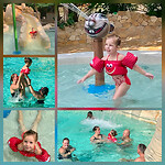 Centerparcs 4