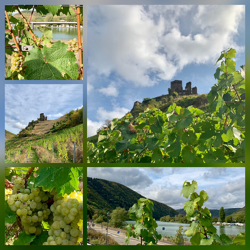 Beilstein
