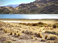 Parque national Patagonia