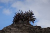 sky burial