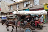 paard en wagen ritje