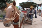 paard en wagen