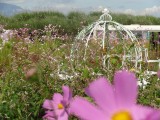 foto llocatie