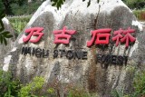 DSC03700