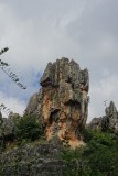 DSC03704