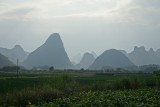 DSC03989