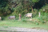 DSC04031