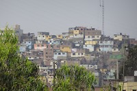 DSC07736