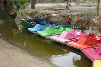 DSC08006
