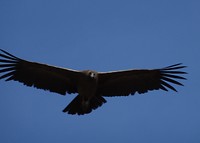 DSC08538_pic_edit_20180913112519