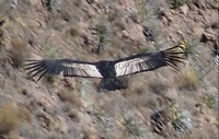 DSC08528_pic_edit_20180913112801