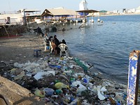 IMG_0677