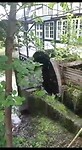 VID-20230713-WA0004