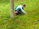 Our first ´sopptur´ - picking ´Funnel´ chanterelles