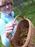 A basket full of chanterelles and funnel chanterelles