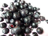 Our own freshly picked blueberries!!