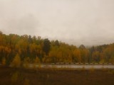 Morning views from the window