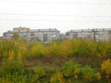 Housing in Siberia.... the trees are beautiful though ...