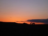 On Chinggis Khans traces
