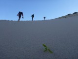 Climbing the sanddunes was strenuous!!