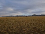 Gobi once more and different again