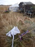 Gobi way of drying clothes :)