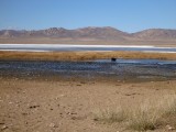 Salt lake in Gobi