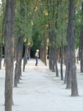 Tai Chi in the park.... funny sight