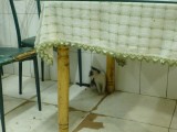 Dont worry, its just a cat in the kitchen.... thats normal!!! just an animal :DDD