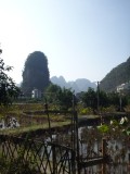 View on one of the beautiful karst mountains around Yangshuo - Lotus field in the front