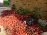 Someone had a huge party here :-) - yes these were fireworks :)