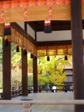 Shrine in the North of Kyoto.... (Shimogamo-Jinja Shrine)