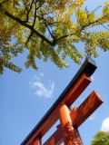 Autumn is lovely!