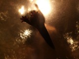 Fishotter... from underneath :))
