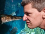 Alligatorfish :))